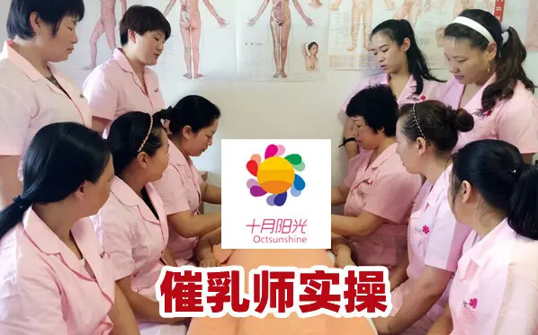 學催乳師的培訓費是多少？